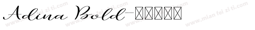 Adina Bold字体转换